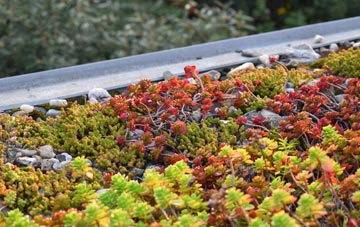 the cost of Elmsted green roof installation
