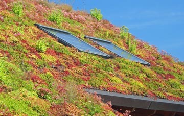 Elmsted living roof systems
